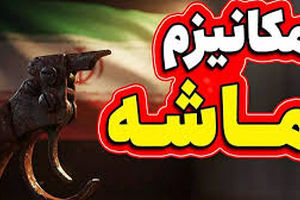 فوری : مکانیسم ماشه رسما فعال شد | آکسیوس خبر داد
