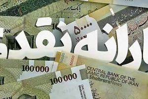 قطع یارانه نقدی ۱۴۰۴ | چگونه وضعیت یارانه خود را با کد ملی بررسی کنیم؟