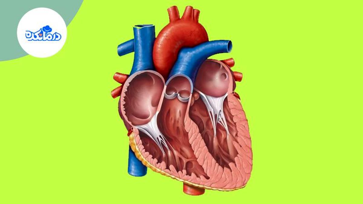 علت‌های ایجاد آریتمی قلبی که باید از آن‌ها جلوگیری کرد
