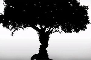 معما؛ اول درخت دیدید یا یک زوج عاشق ؟ پاسخ شما همه‌چیز را لو می‌دهد !