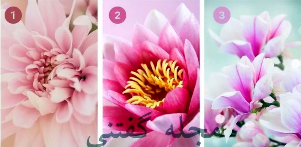 یک گل انتخاب کن تا بهت بگم چقدر خودجوشی | تست شخصیت