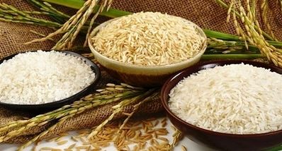قیمت روز برنج پاکستانی در بازار | ارزان‌ترین و گران‌ترین + جدول