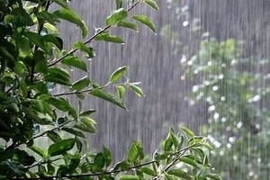 هواشناسی امروز شنبه ۲۲ شهریور